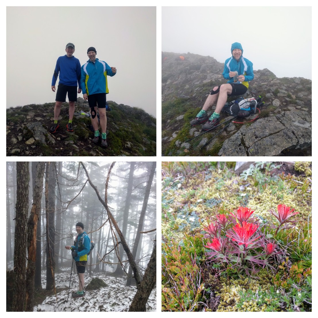 IMG_20170603_064039-COLLAGE