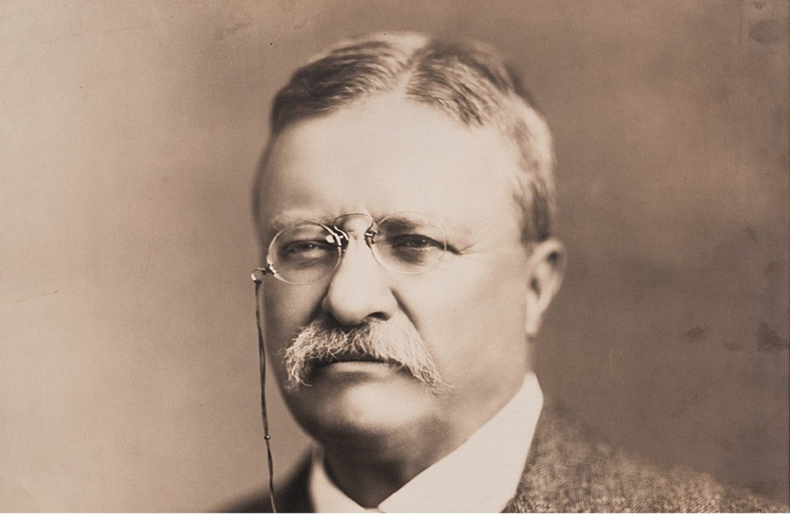 Lincoln and Free Speech   by Theodore Roosevelt&nbsp;(1918)